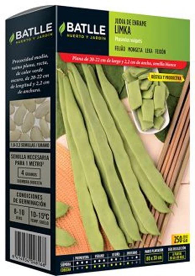 Judia Enrame Limka - Imagen 1