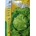 LECHUGA CHISPILLA AMARILLA - Imagen 1