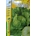 LECHUGA GRANDES LAGOS - Imagen 1