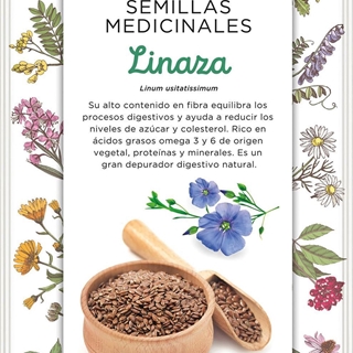 Linaza Planta anual de tallos huecos que puede llegar a los 80 cm. Su semilla se usa en infusiones o molida como harina. - Imagen 1