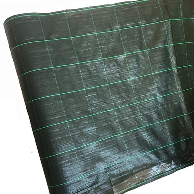 Malla antihierba cuadros - Verde - 100 g - rollo 100mtrs . Envio gratis - Imagen 1