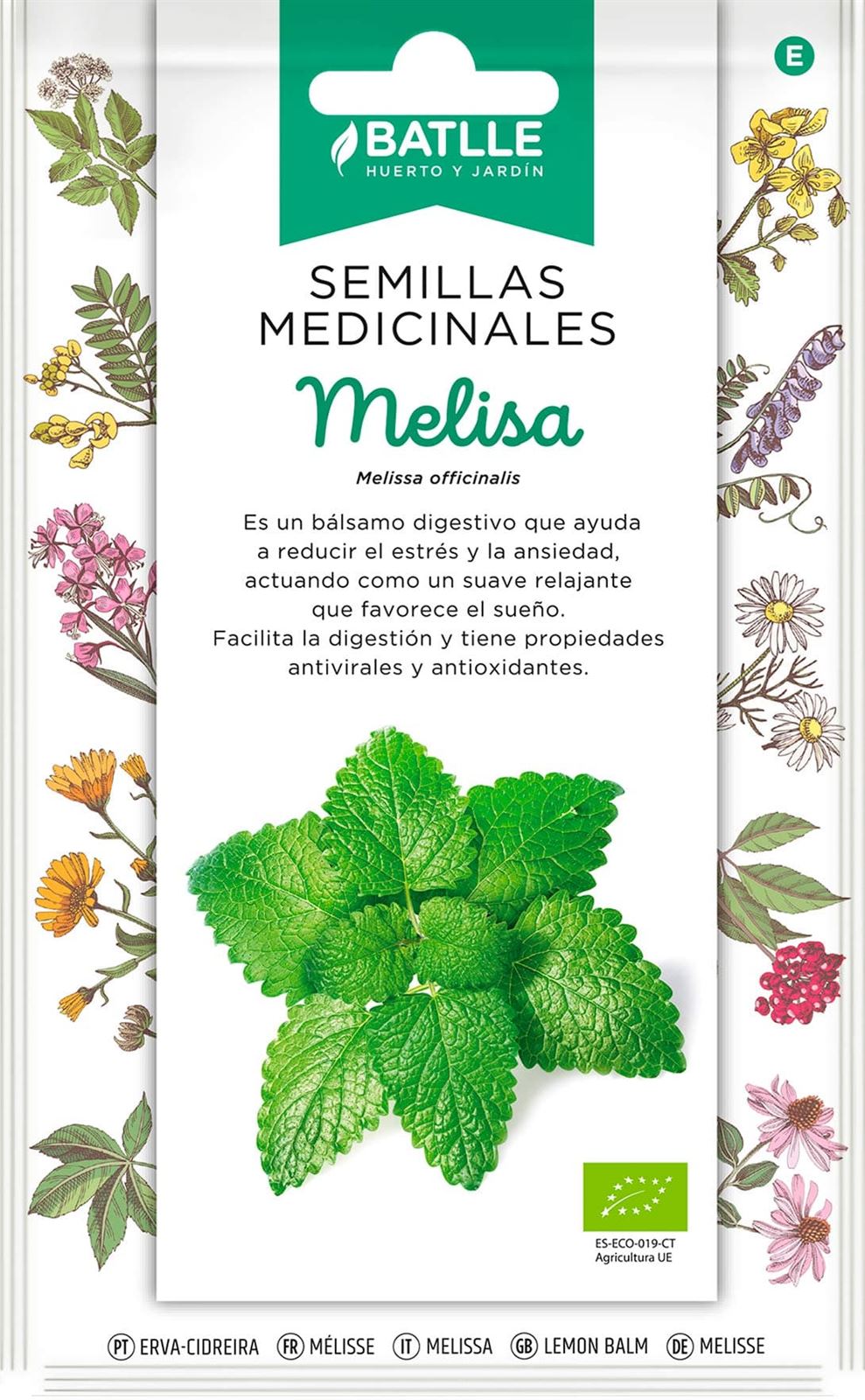 Melisa Planta vivaz de tallos ramificados, puede llegar a los 60 cm. Uso principal en infusiones. - Imagen 1