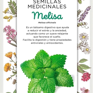 Melisa Planta vivaz de tallos ramificados, puede llegar a los 60 cm. Uso principal en infusiones. - Imagen 1