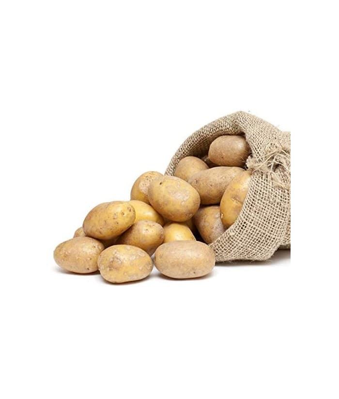 Patata siembra AGRIA 35/55 - Imagen 1