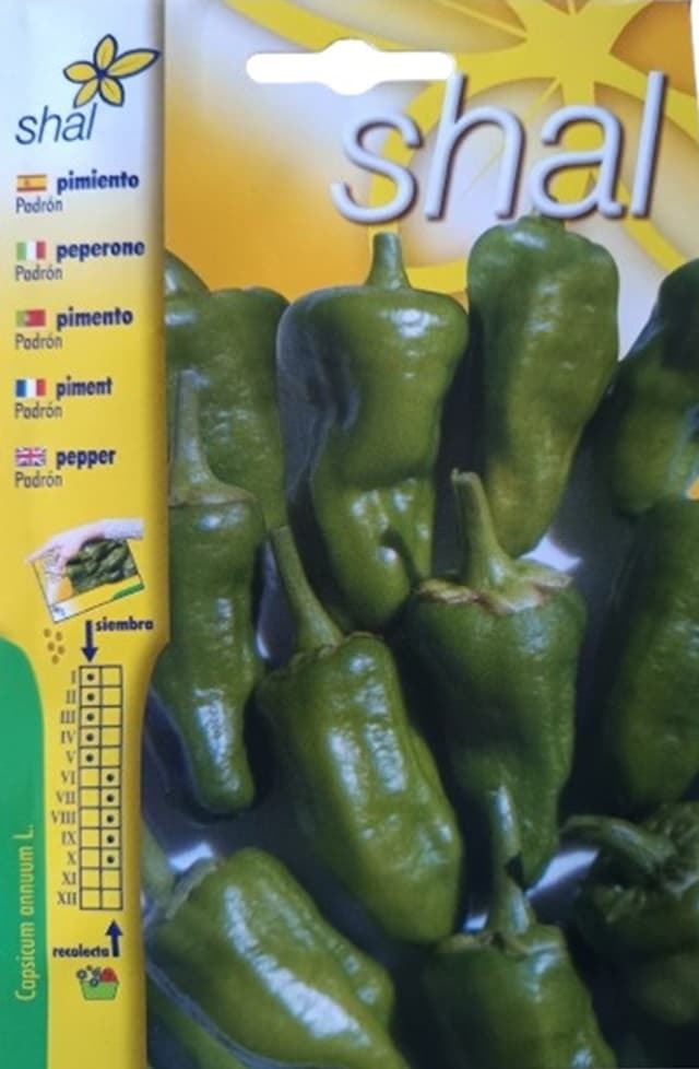 PIMIENTO DE PADRON - Imagen 1