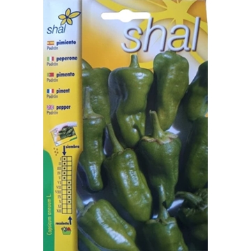 PIMIENTO DE PADRON - Imagen 1