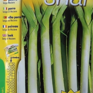 PUERRO LARGO MEZIERE - Imagen 1