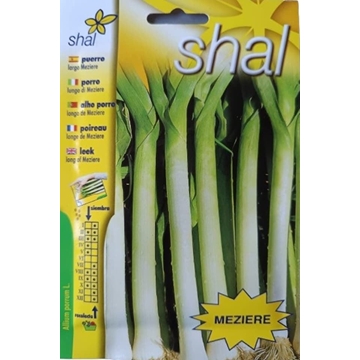 PUERRO LARGO MEZIERE - Imagen 1