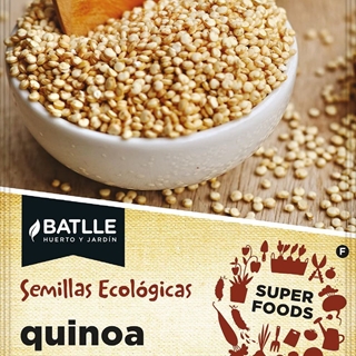 Quinoa Pseudocereal sin gluten, muy adecuado para la alimentación humana. De 80 a 100 cm de altura. - Imagen 1
