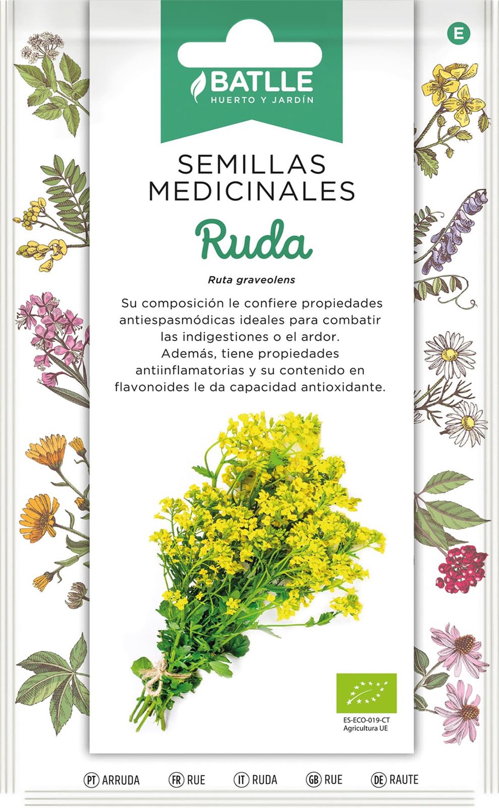 Ruda Planta vivaz, de unos 50 cm de altura. Requiere sol y suelo bien drenado. Las hojas y tallos se usan para hacer infusiones. - Imagen 1