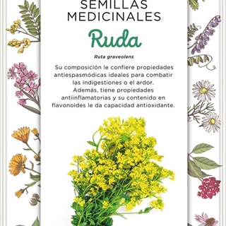 Ruda Planta vivaz, de unos 50 cm de altura. Requiere sol y suelo bien drenado. Las hojas y tallos se usan para hacer infusiones. - Imagen 1