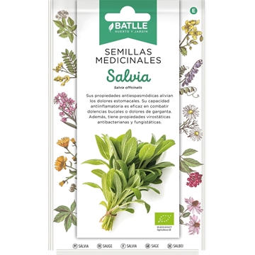 Salvia Planta herbácea típica de la región Mediterránea. Altura de 70 cm, con tallos pubescentes y flores violáceas. Usada como condimento o en infusiones. - Imagen 1