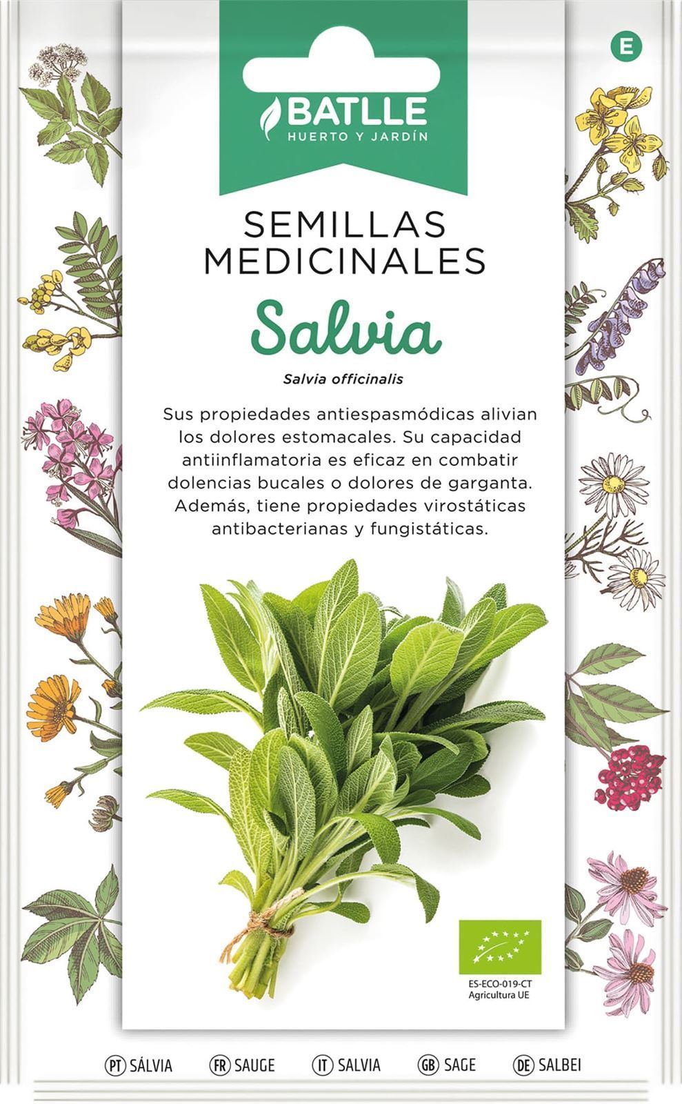 Salvia - Imagen 1