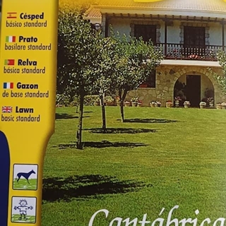 Semilla de césped Cantábrica - Imagen 1