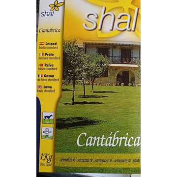 Semilla de césped Cantábrica - Imagen 1