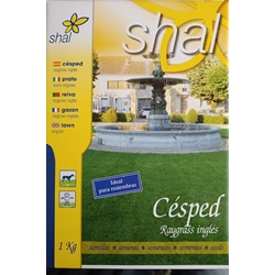 Semilla de césped Raygrass ingles - Imagen 1