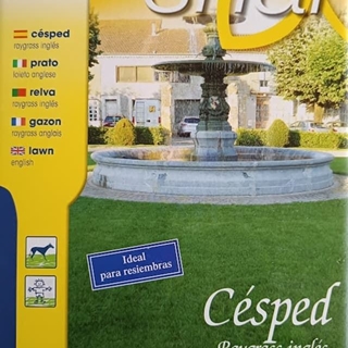 Semilla de césped Raygrass ingles - Imagen 1