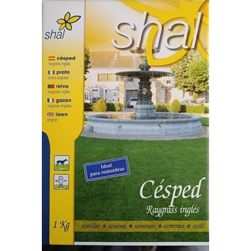 Semilla de césped Raygrass ingles - Imagen 1