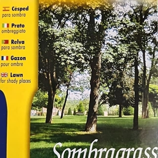 Semilla de césped Sombragrass 1 kg - Imagen 1