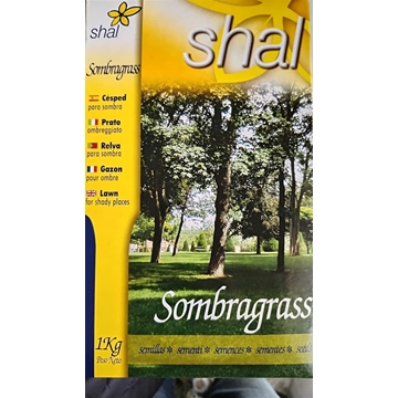 Semilla de césped Sombragrass 1 kg - Imagen 1