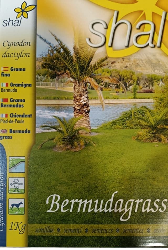 Semilla de Grama fina, CYNODON DACTYLON. - Imagen 1