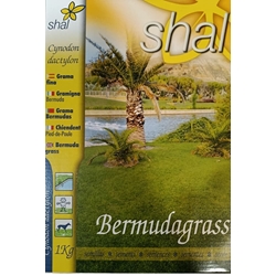 Semilla de Grama fina, CYNODON DACTYLON. - Imagen 1