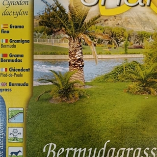 Semilla de Grama fina, CYNODON DACTYLON. - Imagen 1