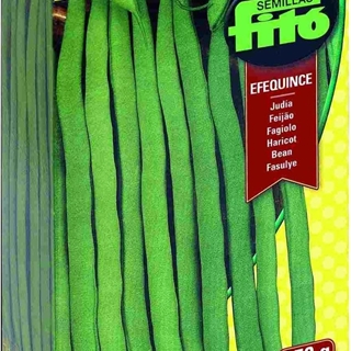 Semillas de Judía Efequince   de FITO - Imagen 1