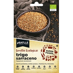 Trigo Sarraceno Pseudocereal sin gluten de la familia de las poligonáceas. Cultivo muy rápido de 80 a 90 cm de altura. - Imagen 1