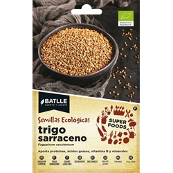 Trigo Sarraceno - Imagen 1