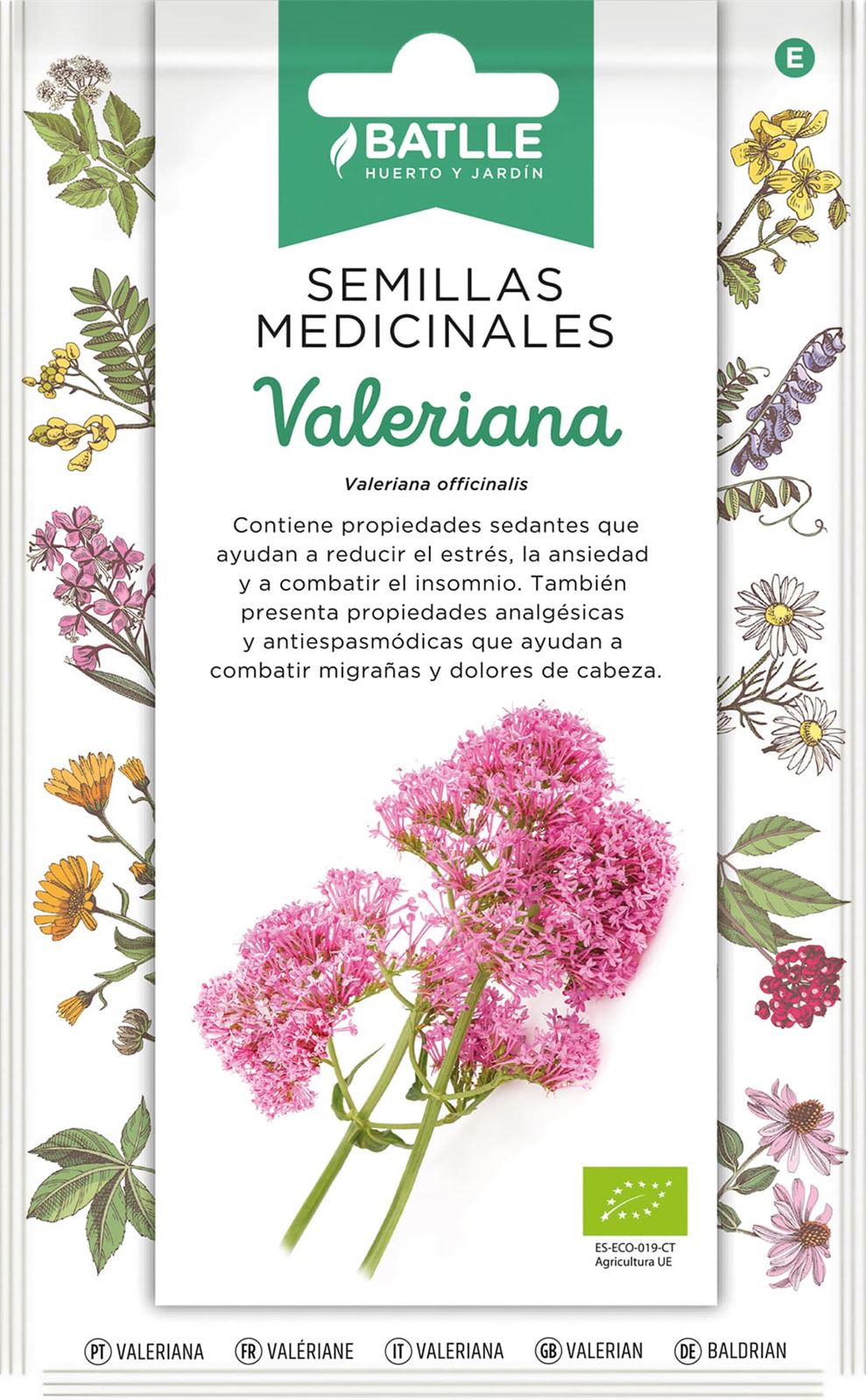 Valeriana Planta herbácea de porte erecto que genera un rizoma ovalado de color grisamarillento de unos 4 cm que es el que contiene las propiedades medicinales. Se toma infusionado. - Imagen 1
