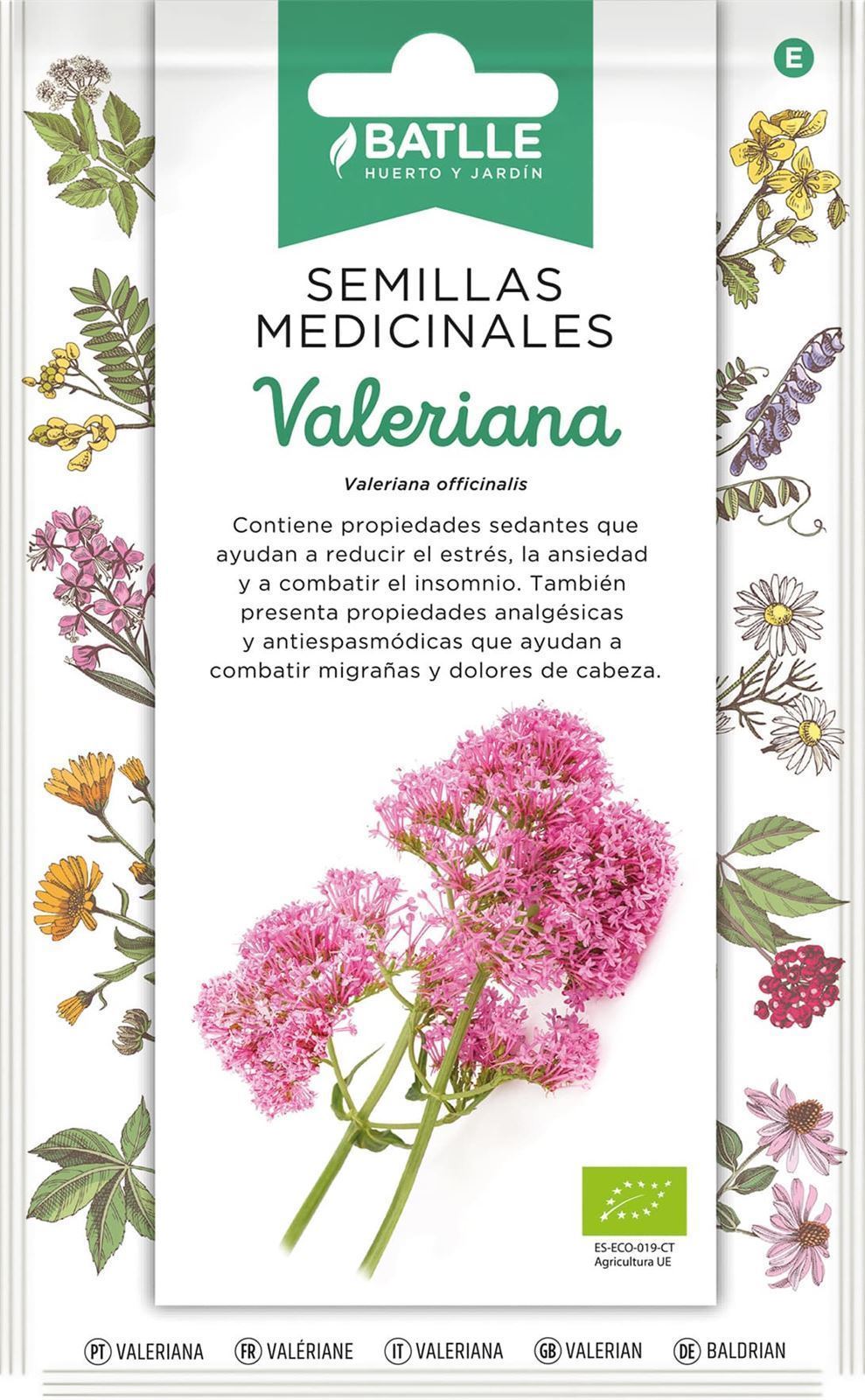 Valeriana - Imagen 1