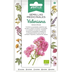 Valeriana - Imagen 1