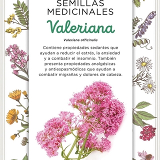 Valeriana - Imagen 1